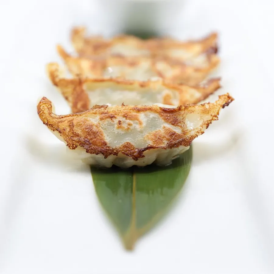 Chicken and vegetable gyozas